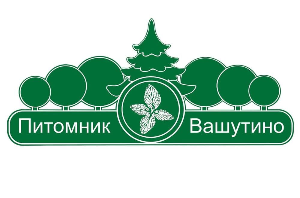 Иллюстрация "Питомник Вашутино"